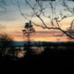 Meet your Posher, Sue